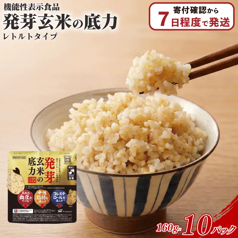 発芽玄米 ごはん レトルト パウチ 10パック 発芽玄米