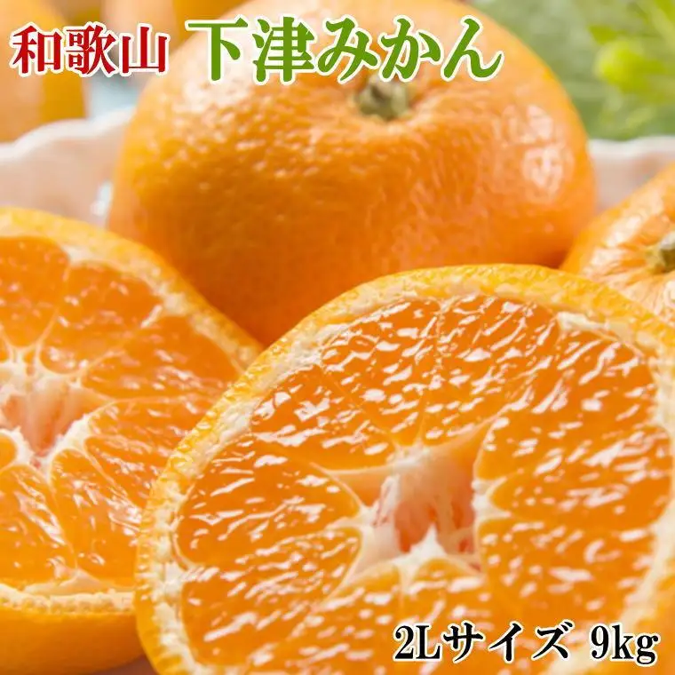 ［産直・秀品］和歌山下津みかん約9kg（2Lサイズ）★2026年11月中旬頃より順次発送［TM76］