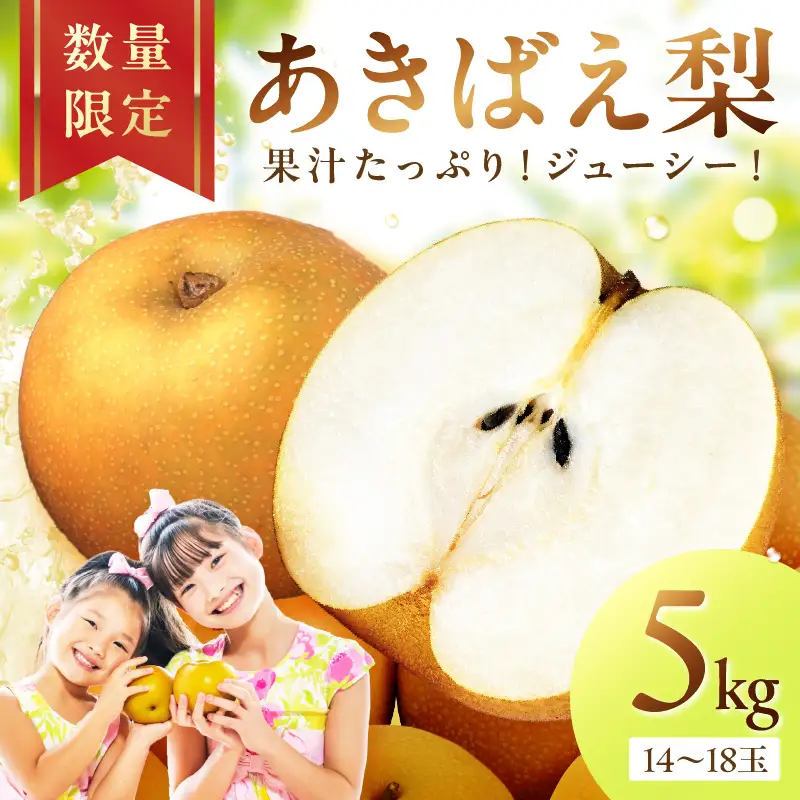 梨／あきばえ	【先行予約】あきばえ梨 5kg（2026年8月中旬～発送）