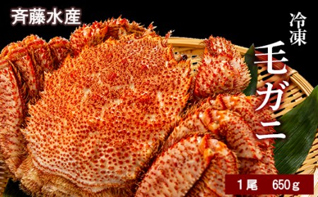 大サイズ！冷凍毛がに約650g×1尾【斉藤水産】 AM143