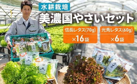美濃国やさいセット 野菜 野菜セット レタス フリルレタス