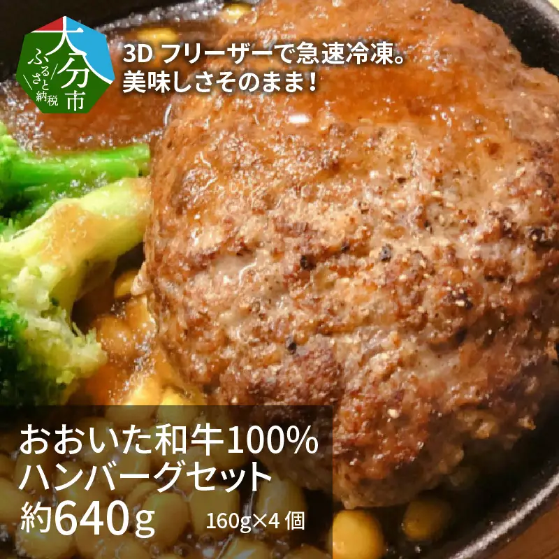 3Dフリーザーで急速冷凍。美味しさそのまま！　4つの味が楽しめる　おおいた和牛100%ハンバーグセット　4個約640ｇ A05051