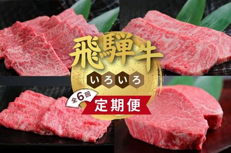 飛騨牛いろいろ定期便　毎月お届け全6回 Bセット サーロイン ｜飛飛騨牛