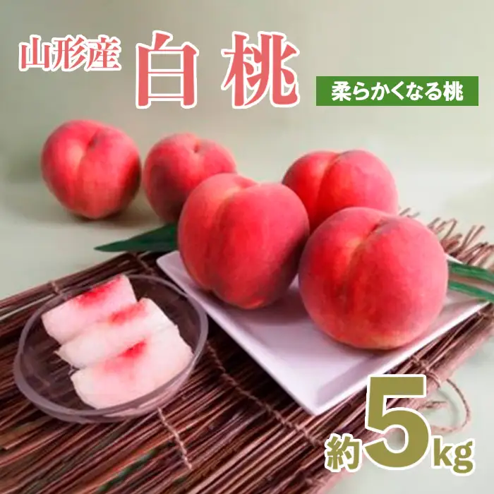山形産白桃 小玉サイズ 約5kg(18～22玉)[柔らかくなる桃]【令和8年産先行予約】FU21-159 くだもの 果物 フルーツ 山形 山形県 山形市 2026年産