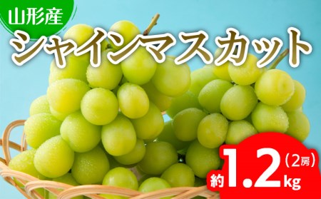 ぷりぷりのシャインマスカット 2房 約1.2kg(1房500g～700g) 【令和8年産先行予約】FU22-743 くだもの 果物 フルーツ 山形 山形県 山形市 2026年産