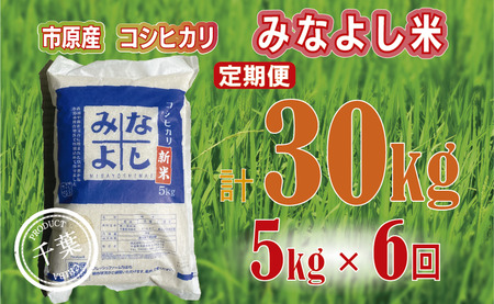 みなよし米【市原産コシヒカリ】定期便5kgを6回お届け お米 
