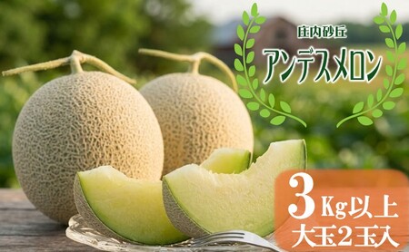 SA2924　酒田の果物専門店厳選　庄内砂丘 アンデスメロン大玉　3kg以上(2玉入)