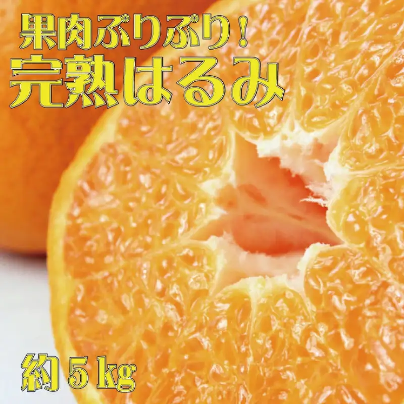 果肉ぷりぷり!完熟はるみ5kg　※2027年1月下旬頃〜2027年2月上旬頃に順次発送予定(お届け日指定不可) 【uot732】