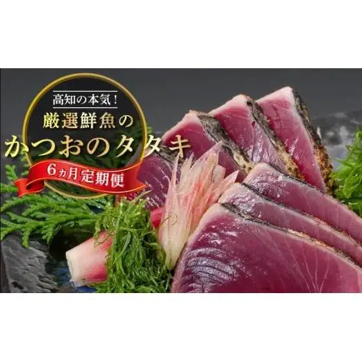 【 かつおたたき 】 定期便6ヶ月 かつおタタキ にんにく・タレ付き 