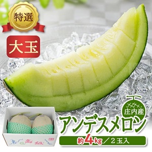 SA2892　特選 庄内産 アンデスメロン　4kg以上(青肉 大玉/2玉入つる付)