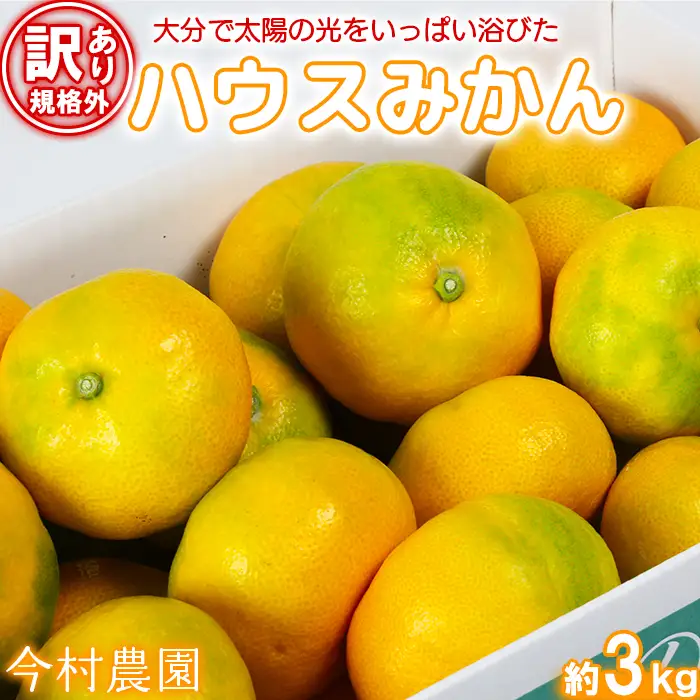 【訳あり・規格外品】今村農園のハウスみかん 約3kg 果物 期間限定 九州 ＜107-001＞