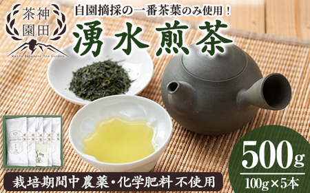《数量限定》鹿児島県湧水町産！栽培期間中農薬・化学肥料不使用！湧水煎茶(100g×5本) 国産 九州産 鹿児島県産 茶葉 お茶 茶 日本茶 緑茶 煎茶 一番茶 湧水茶 浅蒸し茶 ギフト 贈答 プレゼント 贈り物 令和7年産 【神田茶園】_y312