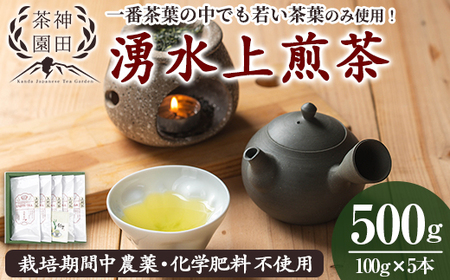 《数量限定》鹿児島県湧水町産！栽培期間中農薬・化学肥料不使用！湧水上煎茶 計500g(100g×5本) 国産 九州産 鹿児島県産 茶葉 お茶 茶 日本茶 緑茶 上煎茶 一番茶 湧水茶 浅蒸し茶 ギフト 贈答 プレゼント 贈り物 令和7年産 【神田茶園】_y313