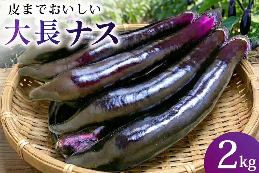 BF002【令和8年度出荷分】皮までおいしい！島原 大長ナス 2kg [ 長崎県 島原市 ]