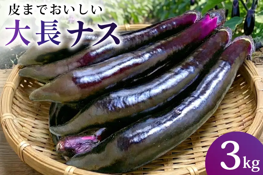 BF003【令和8年度出荷分】皮までおいしい！島原 大長ナス 3kg [ 長崎県 島原市 ]