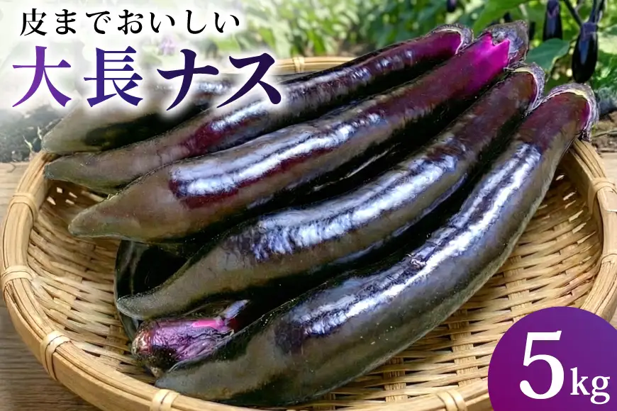 BF004【令和8年度出荷分】皮までおいしい！島原 大長ナス 5kg [ 長崎県 島原市 ]