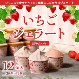 いちごジェラート詰め合わせ(12個入り)_いちご ジェラート 3種類 × 各 4個 100ml 計 12個 詰め合わせ プレミアム いちごミルク あまおう ヨーグルト ホワイトショコラ 紅ほっぺ 煌めく シャーベット かおりの 恋みのり さがほのか ブレンド 誕生日 お中元 ギフト用 おすすめ 久留米市 送料無料 〔Dw014〕