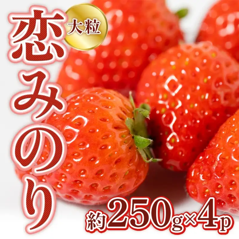 恋みのり 1kg  先行予約 約250g×4P  錦町産 いちご 恋みのり 苺 イチゴ  デザート フルーツ 2027年1月以降より順次発送 配送不可:離島