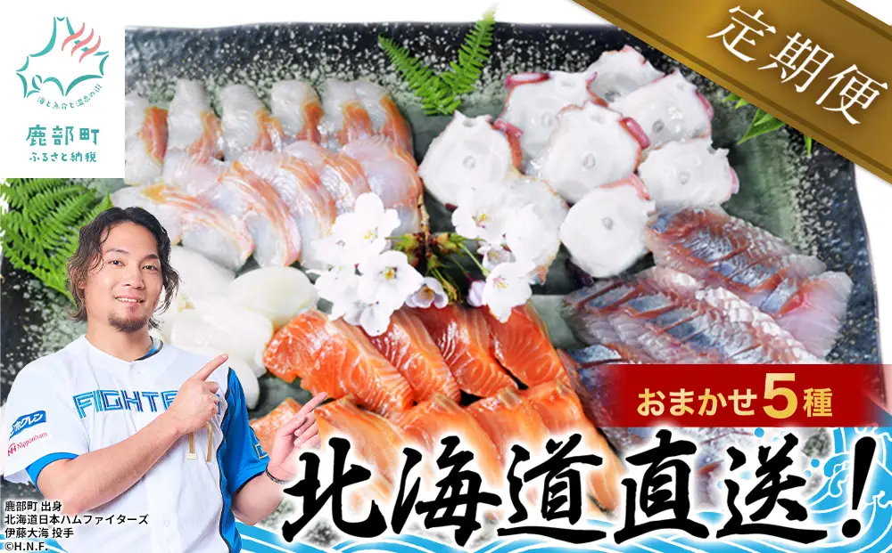 【定期便】 北海道産 旬のお刺身＜5種＞盛り合わせセット 約500g 年4回お届けコース 盛り合わせ 刺身 定期便 お刺身 生食 魚