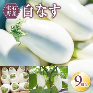 宝石野菜 白なす_宝石野菜 白なす 9個 果肉 柔らかい アクが少ない トロトロ 舌触り 野菜 揚げ焼き バター焼き 田楽 煮浸し 揚げ浸し 浅漬け 味噌汁 天ぷら 炒め物 常温配送 国産 ナス 夏野菜 お取り寄せ 福岡県 久留米市 送料無料 〔Gv018〕