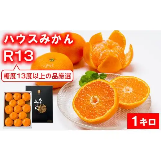 【糖度13度以上！】[プレミアムハウスみかんR13] 1kg 化粧箱入 みかん 温州 温州みかん 温州ミカン 1kg 甘い 秀品 柑橘類 糖度 6月 7月 ハウスみかん フルーツ 先行予約 九州 大分 杵築 ＜132-013＞