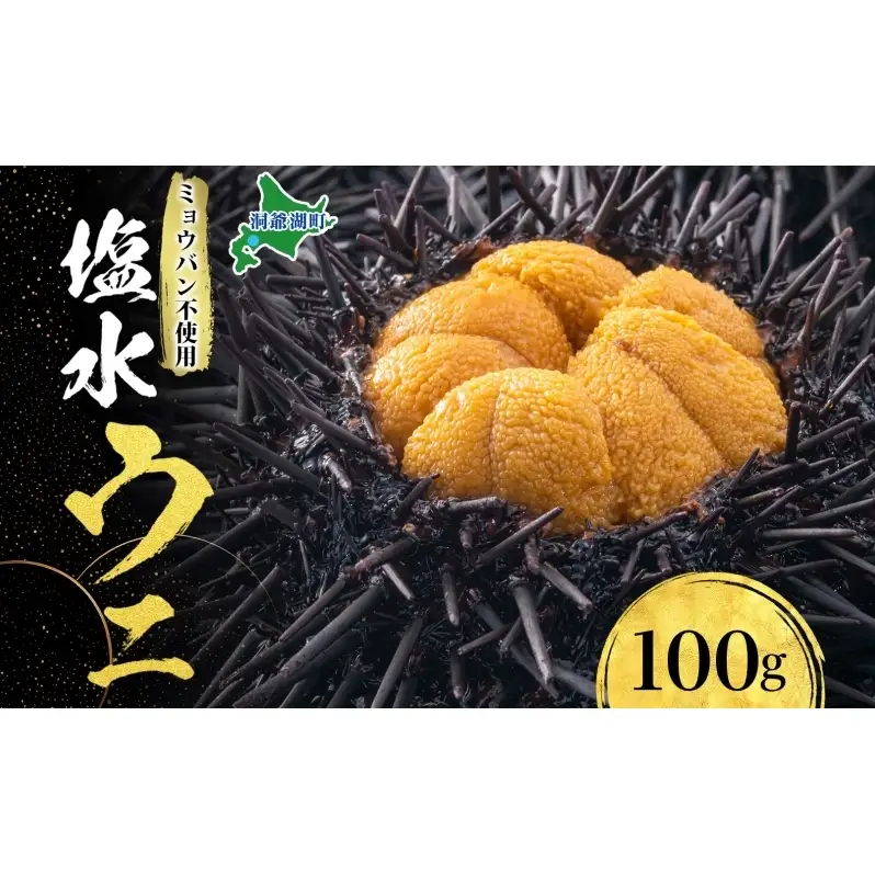 ミョウバン不使用 塩水 ウニ100g 1パック 7月下旬頃までお届け [水揚げ後 順次出荷] キタムラサキウニ うに ウニ 雲丹 ムラサキウニ 北海道産 魚貝 魚介 海鮮 海産 小川商店 送料無料 北海道 洞爺湖