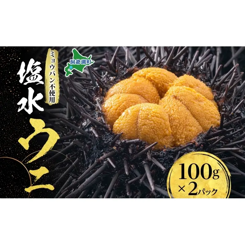 ミョウバン不使用 塩水 ウニ100g 2パック 7月下旬頃までお届け  [水揚げ後 順次出荷]  キタムラサキウニ うに ウニ 雲丹 ムラサキウニ 北海道産 魚貝 魚介 海鮮 海産 小川商店 送料無料 北海道 洞爺湖