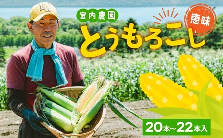 北海道産 とうもろこし 糖度20度以上 恵味 めぐみ 2L 20～22本 2026年7月下旬～8月下旬頃お届け 先行受付 朝採り トウモロコシ スイート コーン 甘い 旬 夏 野菜 新鮮 産地直送 宮内農園 洞爺湖町 