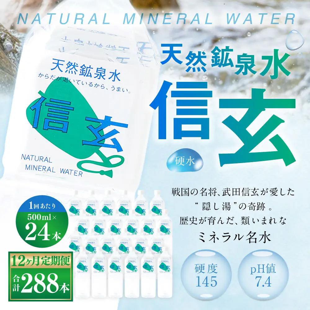【12ヶ月定期便】天然鉱泉水「信玄」ナチュラルミネラルウォーター500ml × 24本入 飲料水 飲料 1L 天然水 みず 防災 保存水 
