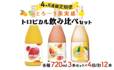 【定期便・全4回】驚きの果実感！トロピカルフルーツドリンク(3本・各720ml、グァバ、マンゴー、日向夏)×4回_K021-T003