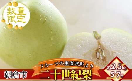 フルーツの里の直売所より 二十世紀梨 2.5kg ナシ 果物 先行予約 