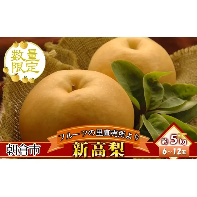 フルーツの里の直売所より 新高梨 5kg ナシ 果物 先行予約 