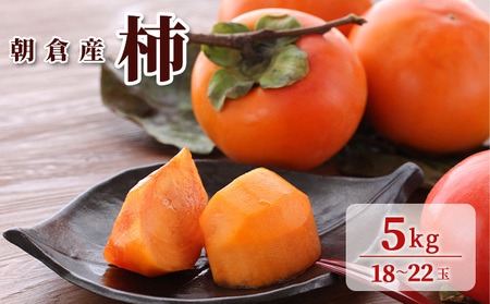 柿 5kg 朝倉 ぱぁ～しもん屋の柿   果物類 かき 