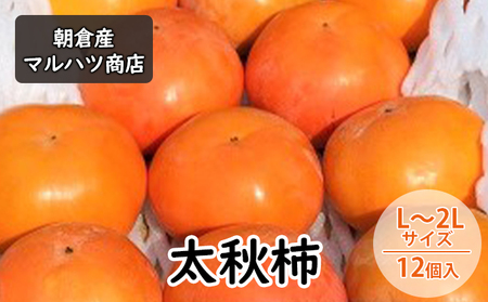 柿 太秋柿 L～2Lサイズ×12個入 マルハツ商店 配送不可：離島 果物類 かき 
