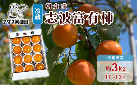 柿 志波 富有柿 冷蔵 約3kg 11～12玉 配送不可 離島 果物類 かき 