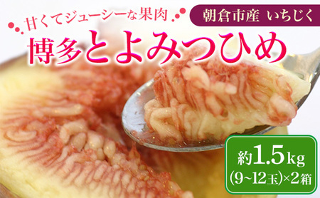 いちじく 博多 とよみつひめ 1.5kg 柔らかな食感 高い糖度 あふれる果汁 筑前あさくら農協 配送不可 離島※オンライン決済