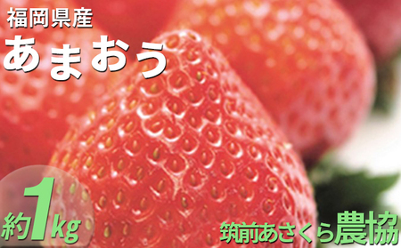 いちご あまおう 福岡県産 約1kg 250g×4パック 筑前あさくら農協 配送不可 離島 果物類 苺 イチゴ 配送期間：2027年1月下旬～3月上旬