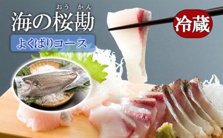 B2-0112／『海の桜勘』よくばりコース