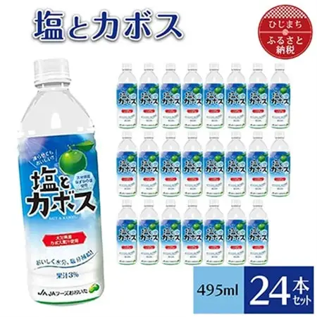 塩とカボス(495ml×24本)_飲料・ドリンク  ジュース _【1086654】