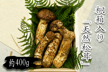 【2026年発送】山形県産「天然松茸（まつたけ）」約400g(桐箱入)_H086(R8)