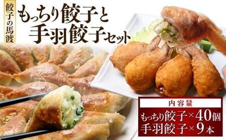 【TV番組で餃子日本一獲得!】 馬渡のもっちり 餃子 手羽餃子 国産 小分け 肉 人気
