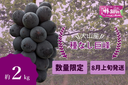 【予約受付・数量限定】犬山産 完熟 種なし 巨峰2キロ [0489]