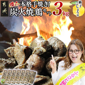 本格手焼き!炭火焼鶏3kg(ゆずこしょう付)〔MJ-14-003-3kg〕_(都城市) 鶏肉 小分け 宮崎 冷凍 柚子胡椒