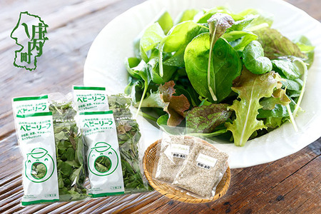 庄内産 ベビーリーフミックス 70g×4袋と野菜用ハーブ塩セット 土耕栽培 サラダ スムージー 若葉 野菜 生野菜 新鮮 山形県 冷蔵