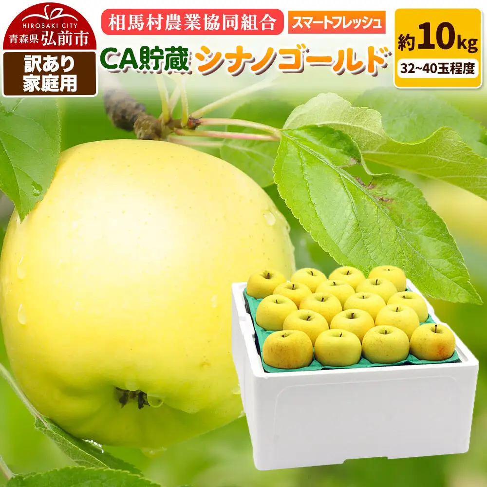 【27年3月クール便発送】りんご シナノゴールド【訳あり】家庭用 約10kg（32～40玉程度）CA スマートフレッシュ