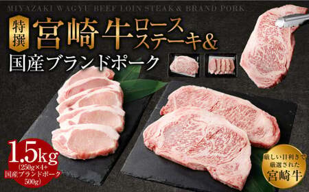 ＜特選宮崎牛ロースステーキ 1kg＋ブランドポーク100g×5枚＞入金確認後、翌月末迄に順次出荷【c057_hn_x4】