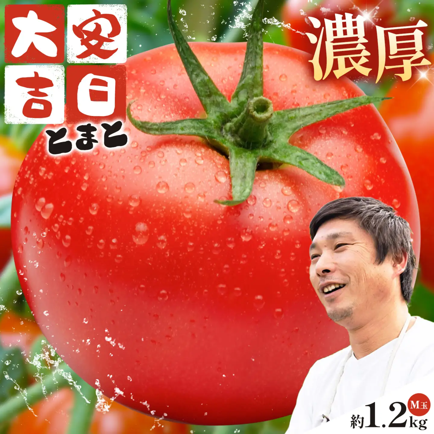 トマト とまと 大安吉日とまと 約1.2kg M玉 9個 《11月上旬-6月中旬頃出荷》 市囿庄一 鹿児島県 さつま町 野菜