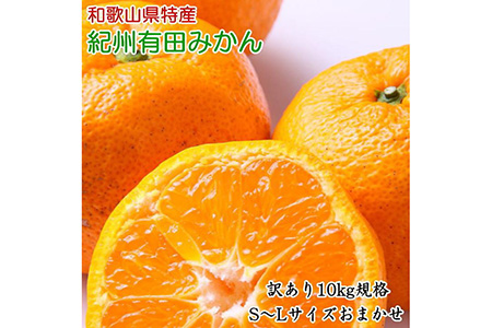 [訳あり]和歌山有田みかん約10kg（S～Lサイズいずれかお届け）