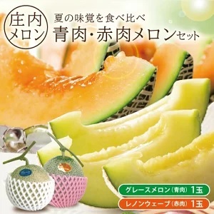 SA2873　庄内メロン　グレース、レノンウェーブ　約3kg　計2玉(青肉・赤肉各1玉)