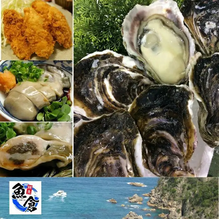 625.【2026年6月上旬以降発送 先行予約】鳥取県産　天然岩ガキ『夏輝』　おまかせ2kg(約6～9個) 牡蠣 カキ※1個の重さによって個数が変わります※着日指定不可※2026年6月上旬～8月下旬頃に順次発送予定